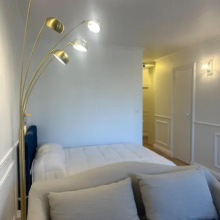 Premium Quiet Elegant Panoramic Elevator Parigi